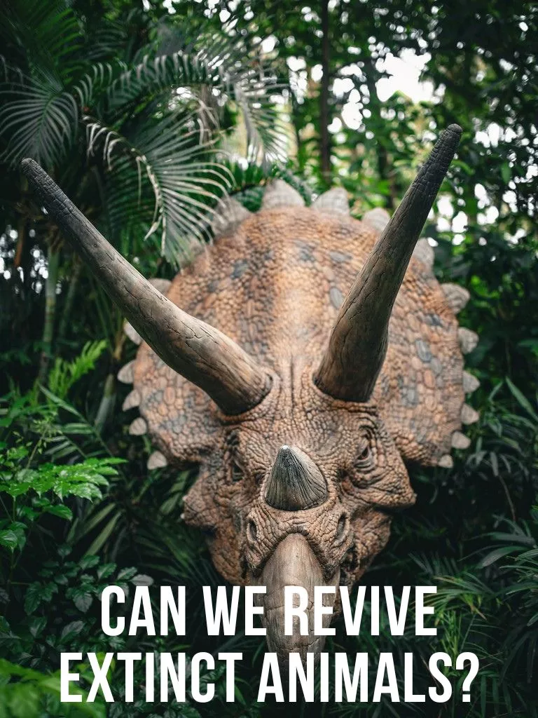 Can-We-Revive-Extinct-Animals