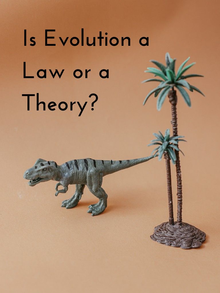 Is-Evolution-a-Law-or-a-Theory