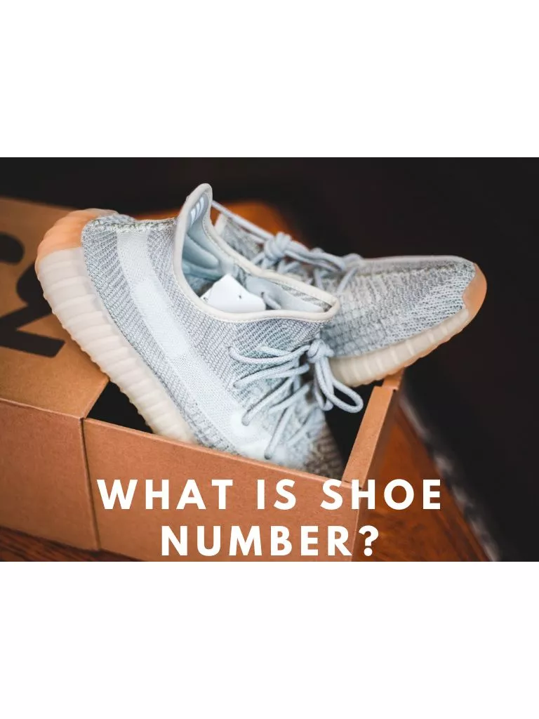 What-is-Shoe-Number