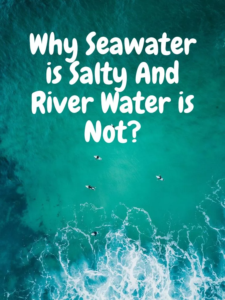 Why-Seawater-is-Salty-And-River-Water-is-Not