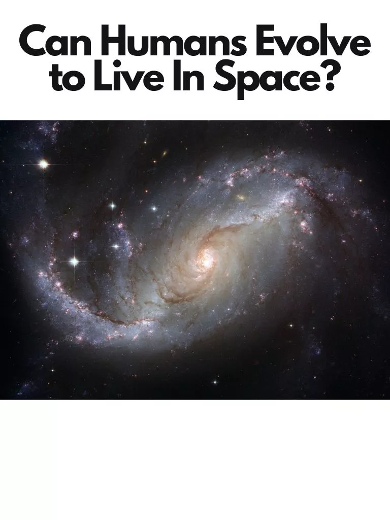 Can Humans Evolve to Live In Space