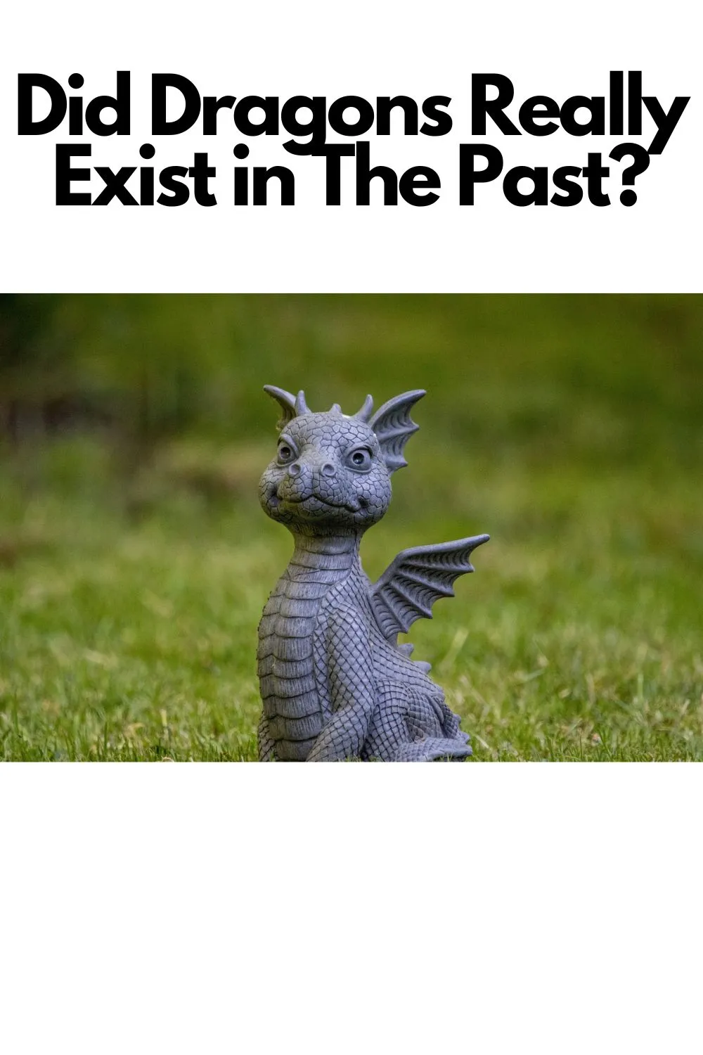 Did Dragons Really Exist in The Past