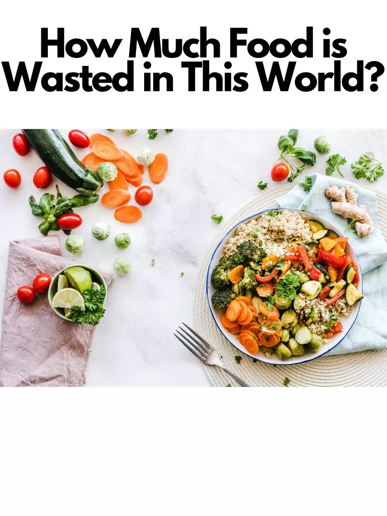 How Much Food is Wasted in This World
