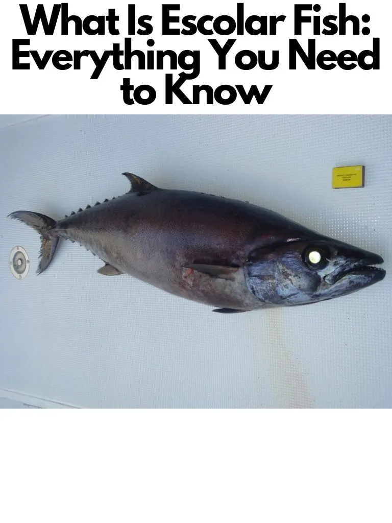 What Is Escolar Fish